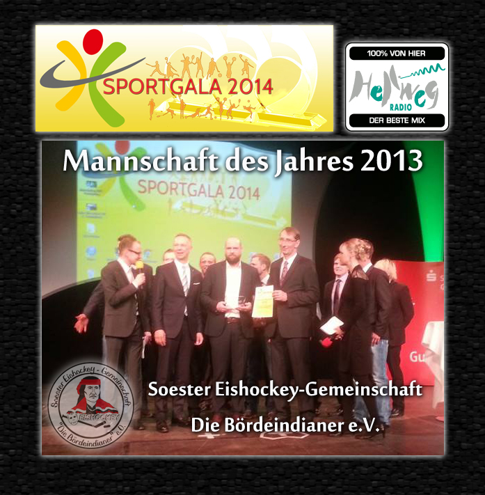 sportgala_mannschaft_des_jahres_2013.jpg